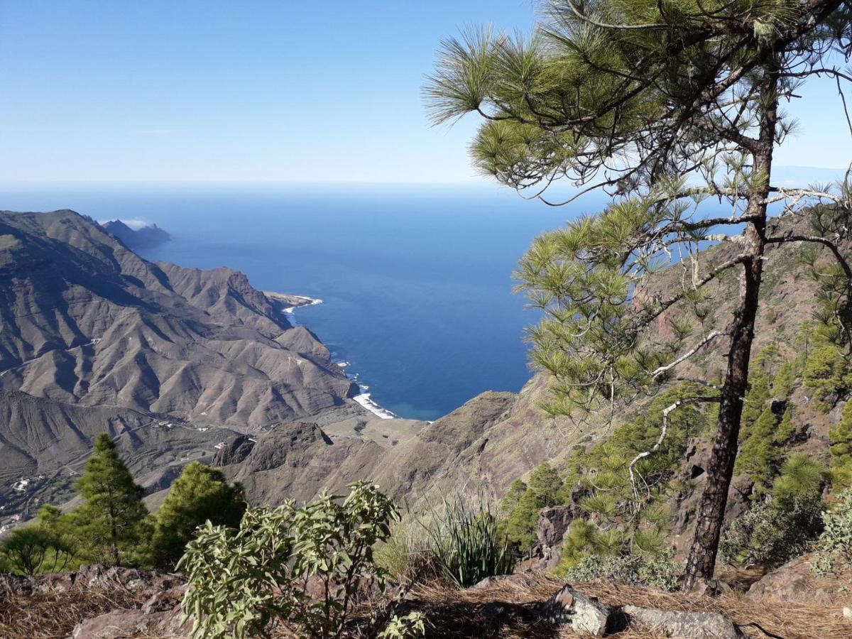 Taidia Tropical Daire Maspalomas  Dış mekan fotoğraf