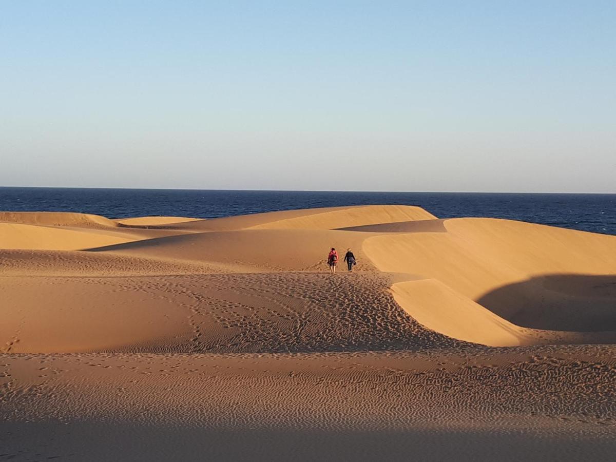Taidia Tropical Daire Maspalomas  Dış mekan fotoğraf