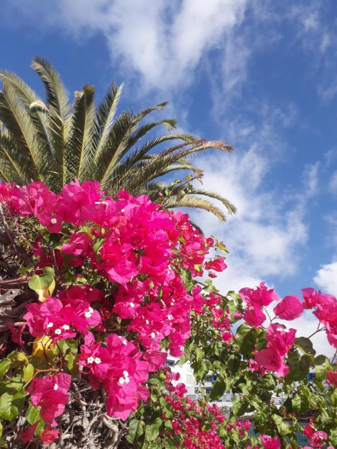 Taidia Tropical Daire Maspalomas  Dış mekan fotoğraf
